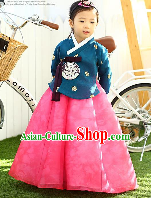 Korean National Handmade Formal Occasions Girls Hanbok Costume Embroidered Blue Blouse and Pink Dress for Kids