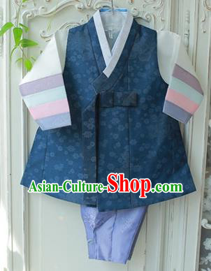 Asian Korean National Traditional Handmade Formal Occasions Boys Embroidery Clothing Navy Vest Hanbok Costume Complete Set for Kids