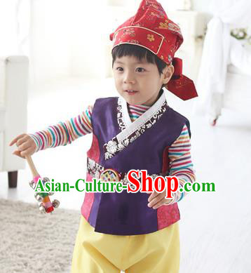 Traditional Korean Handmade Hanbok Embroidered Purple Costume, Asian Korean Apparel Hanbok Embroidery Clothing for Boys