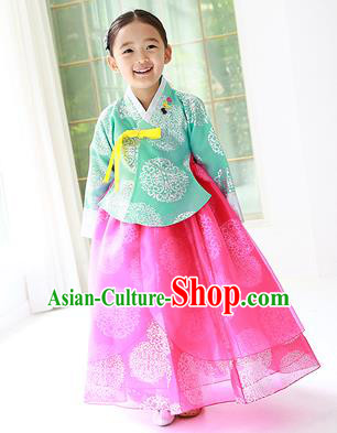 Traditional Korean Handmade Hanbok Embroidered Costume Green Blouse and Pink Dress, Asian Korean Apparel Hanbok Clothing for Girls