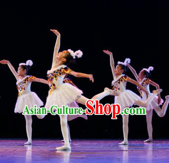 Traditional Chinese Ballet Dance Costume, Chinese Modern Dance Dress Clothing for Kids
