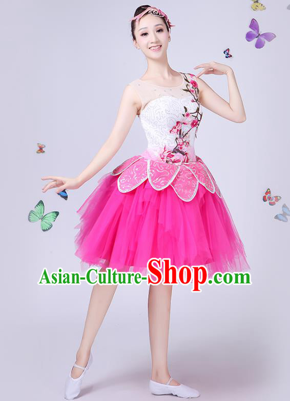 Traditional Chinese Modern Dance Opening Dance Clothing Chorus Folk Umbrella Dance Pink Veil Bubble Dress for Women
