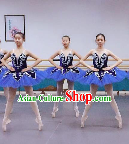 Traditional Modern Dancing Compere Costume, Women Opening Classic Chorus Singing Group Dance Dress, Modern Dance Classic Ballet Dance Blue Veil Dress for Women