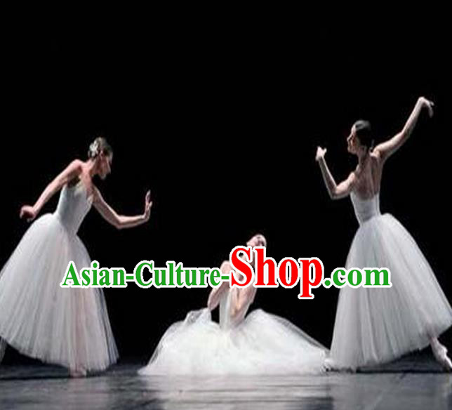 Traditional Modern Dancing Compere Costume, Opening Classic Chorus Singing Group Dance Bubble Dress Tu Tu Dancewear, Modern Dance Classic Ballet Dance Elegant Long Dress for Women