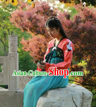 Traditional Chinese Ancient Tang Dynasty Female Costumes, China Hanfu Embroidered Blouse and Dress Complete Set Wearing for Women
