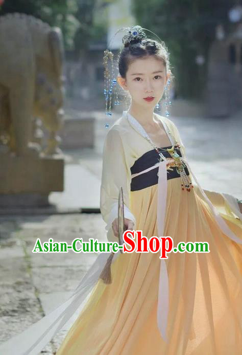 Traditional Chinese Ancient Tang Dynasty Female Costumes, China Hanfu Embroidered Blouse and Ru Skirt Complete Set for Women