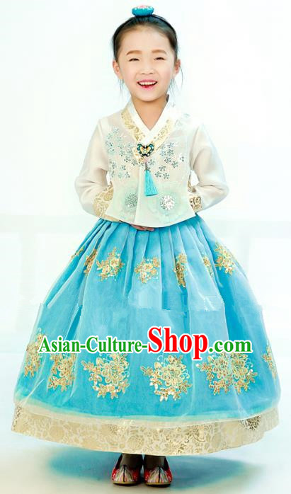 Traditional South Korean Handmade Hanbok Children Embroidery Birthday Blue Dress, Top Grade Korea Hanbok Costume Complete Set for Kids