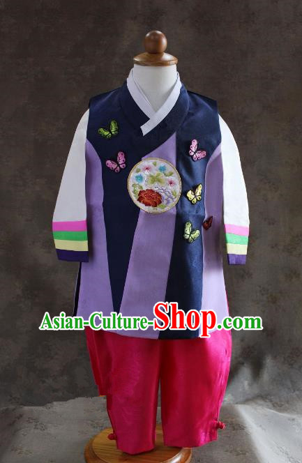 Traditional South Korean Handmade Hanbok Children Baby Birthday Customization Embroidery Butterfly Clothing, Top Grade Korea Hanbok Costume Complete Set for Boys