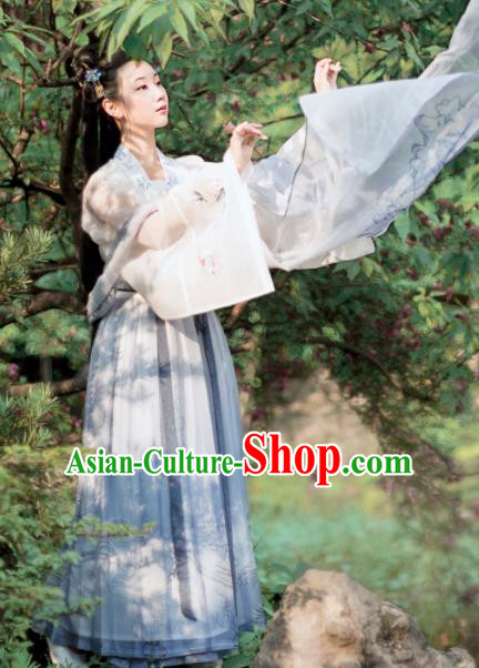 Chinese Ancient Princess Embroidered Costumes Traditional Tang Dynasty Palace Lady Hanfu Dress for Women