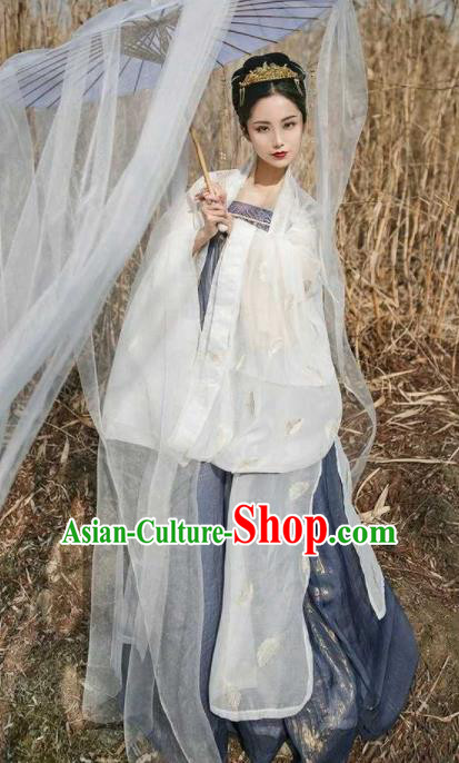 Traditional Chinese Ancient Peri Goddess Hanfu Dress Tang Dynasty Imperial Consort Embroidered Costumes for Women