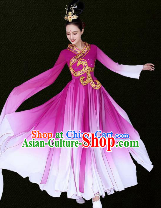 Chinese Traditional Classical Dance Purple Hanfu Dress Ancient Water Sleeve Group Dance Costumes for Women