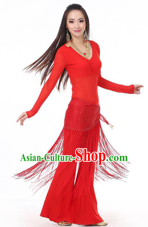 Asian Indian Belly Dance Red Costume Stage Performance India Raks Sharki Dress for Women