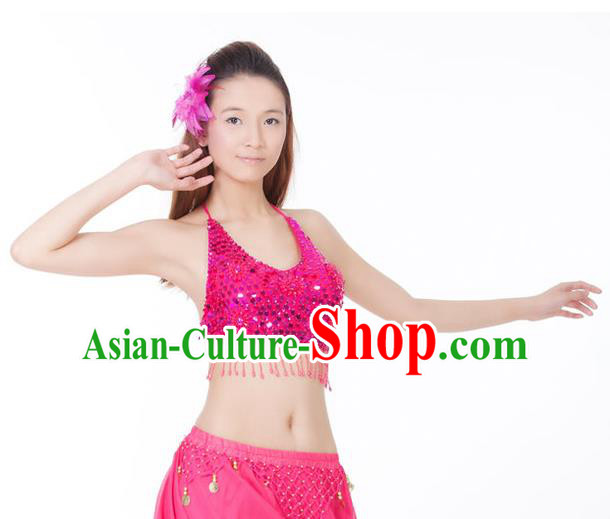 Top Indian Bollywood Belly Dance Costume Oriental Dance Rosy Paillette Brassiere for Women