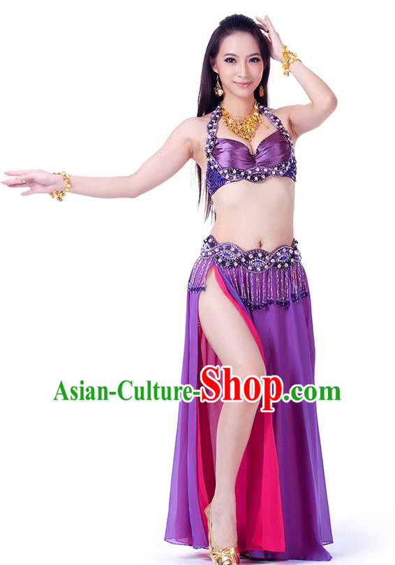 Traditional Indian Belly Dance Purple and Rosy Dress India Oriental Dance Clothing for Women