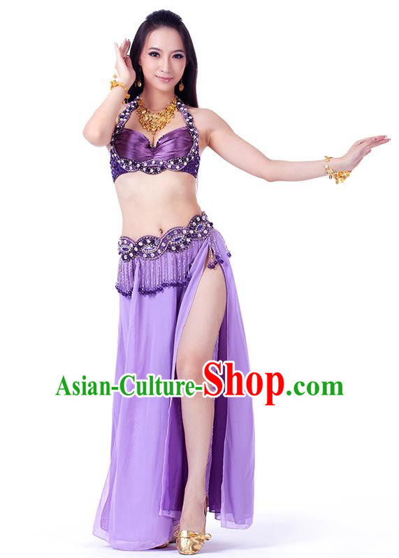 Traditional Indian Belly Dance Purple Dress India Oriental Dance Clothing for Women