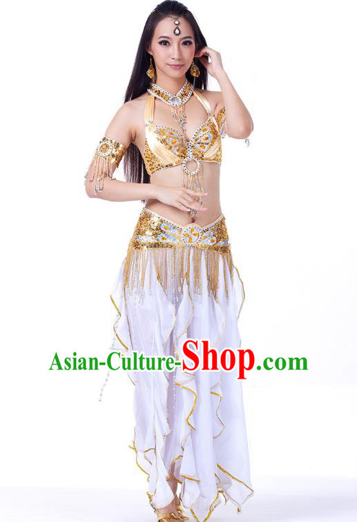 Traditional India Oriental Bollywood Dance Costume Indian Belly Dance Lotus Dress for Women