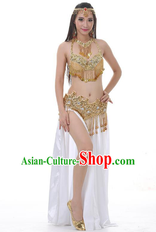 Indian Traditional Costume Golden Tassel Dress Oriental Dance Belly Dance Stage Performance Clothing for Women