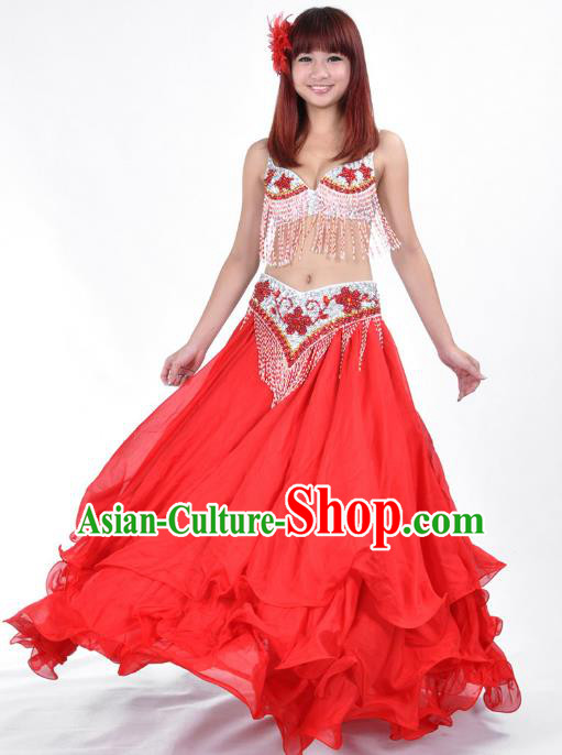 Indian Traditional Costume Red Dress Oriental Dance Belly Dance Stage Performance Clothing for Women