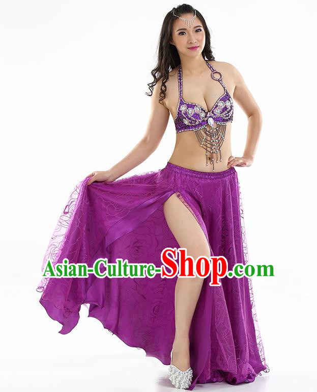 Top Grade Bollywood Belly Dance Purple Dress Indian Raks Sharki Oriental Dance Clothing for Women
