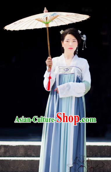 Chinese Ancient Palace Lady Blue Dress Tang Dynasty Princess Embroidered Costume for Women