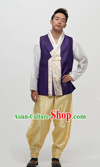 Asian Korean Traditional Male Purple Hanbok Ancient Palace Bridegroom Costumes for Men
