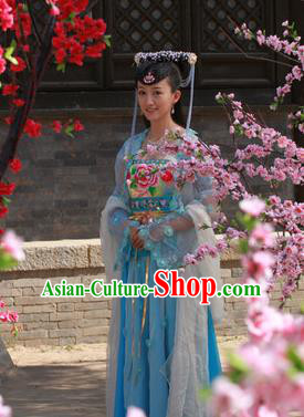 Ancient Chinese Ming Dynasty Palace Princess Embroidered Dress Historical Costume for Women