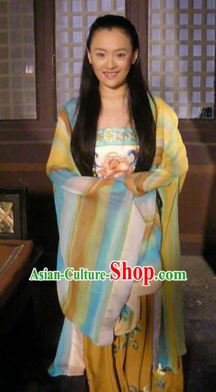 Chinese Traditional Tang Dynasty Palace Princess Embroidered Replica Costume for Women
