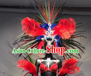 Top Grade Handmade Accessories Brazilian Carnival Costumes Red Feather Headdress and Wings for Women