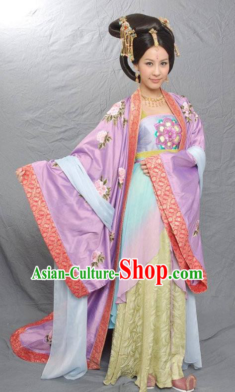 Traditional Chinese Ancient Tang Dynasty Imperial Concubine Hui Embroidered Replica Costume for Women
