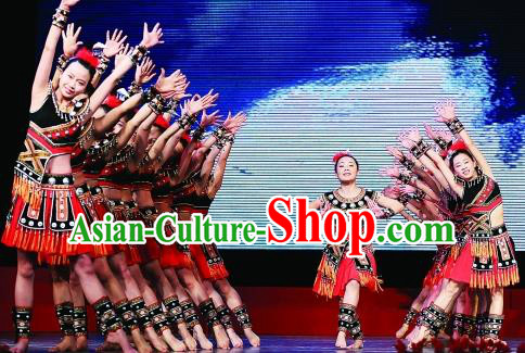Traditional Chinese Folk Dance Embroidered Costume, China Ethnic Minority Dance Clothing for Women