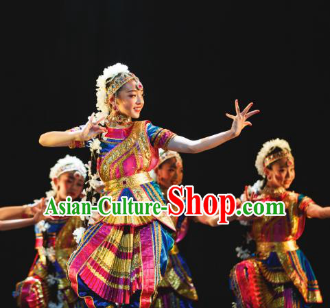 Traditional Chinese Indian Nationality Folk Dance Embroidered Costume, China Ethnic Minority Dance Clothing for Women