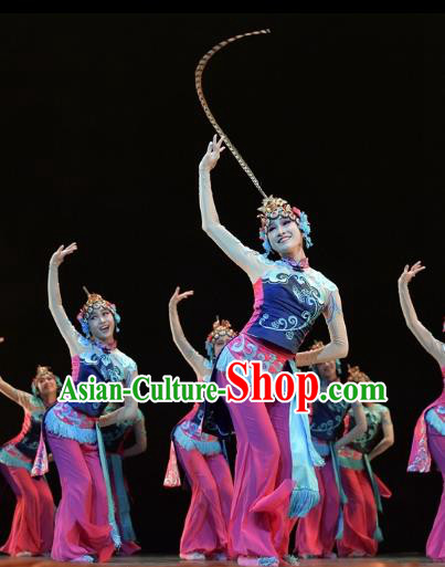 Traditional Chinese Classical Dance Beijing Opera Costume, China Folk Dance Stage Performance Dance Dress Clothing for Women