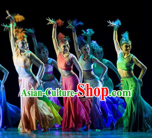 Traditional Chinese Folk Dance Classical Dance Costume, China Stage Performance Pavane Dance Dress Clothing for Women