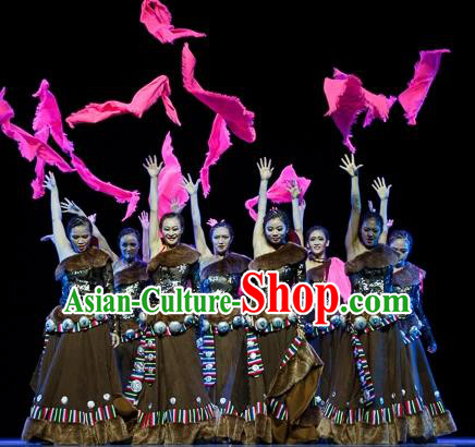 Traditional Chinese Zang Nationality Dancing Costume, Tibetan Folk Dance Ethnic Minority Embroidery Clothing for Women