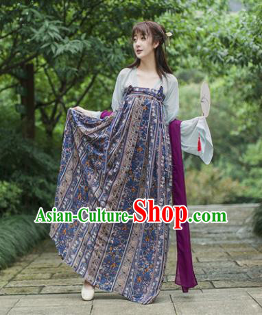 Traditional Chinese Tang Dynasty Maidenform Costume Ancient Princess Hanfu Dress for Women