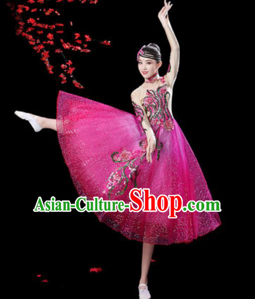 Top Grade Modern Dance Stage Show Costumes Chorus Group Dance Rosy Veil Dress for Women