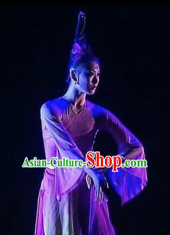 Chinese Traditional Group Dance Costumes Classical Dance Stage Performance Dress for Women