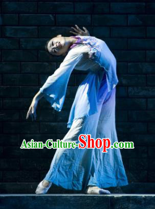 Chinese Traditional Folk Dance Group Dance Costumes Classical Dance Stage Performance Dress for Women