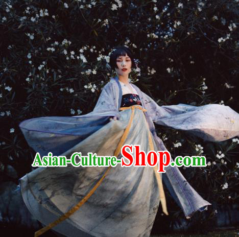 Chinese Traditional Tang Dynasty Princess Historical Costumes Ancient Imperial Concubine Embroidered Hanfu Dress for Women