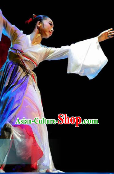Traditional Chinese Korean Nationality Dance Dress Ethnic Dance Stage Show Costume for Women