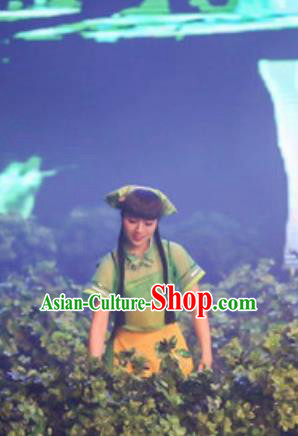 Chinese The Romantic Show of Songcheng Dance Green Dress Stage Performance Costume for Women