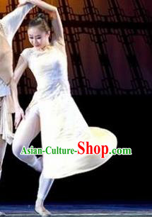 Chinese Female Embroider Classical Dance White Dress Stage Performance Costume and Headpiece for Women