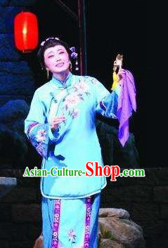 Chinese Moon Shines On Sugarbush Ferry Classical Dance Dress Stage Performance Dance Costume and Headpiece for Women