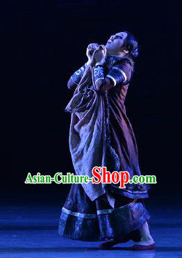 Lady Zhaojun Chinese Mongol Nationality Dress Stage Performance Dance Costume and Headpiece for Women