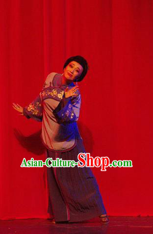 Chinese Moon Shines On Sugarbush Ferry Dance Maidservant Purple Dress Stage Performance Dance Costume and Headpiece for Women