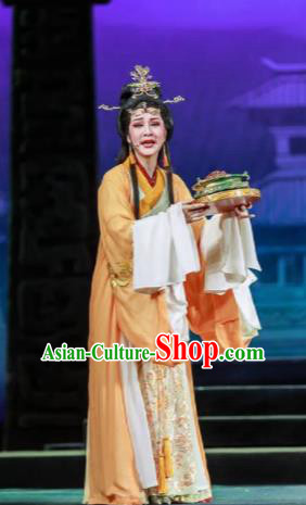 Chinese Shaoxing Opera Bronze Swallow Terrace Zhen Luo Dress Stage Performance Dance Costume and Headpiece for Women