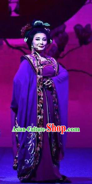 Amber Fate Chinese Beijing Opera Queen Purple Dress Stage Performance Dance Costume and Headpiece for Women