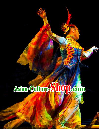 Hundred Bird Dress Chinese Classical Dance Colorful Dress Stage Performance Dance Costume and Headpiece for Women