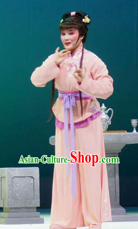 Xiang Luo Ji Chinese Shaoxing Opera Maidservant Pink Dress Stage Performance Dance Costume and Headpiece for Women