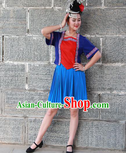 Chinese Traditional Miao Nationality Costume Ethnic Folk Dance Blue Dress for Women